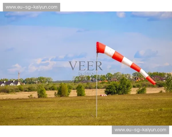 赛车比分—极速赛场的实时风向标